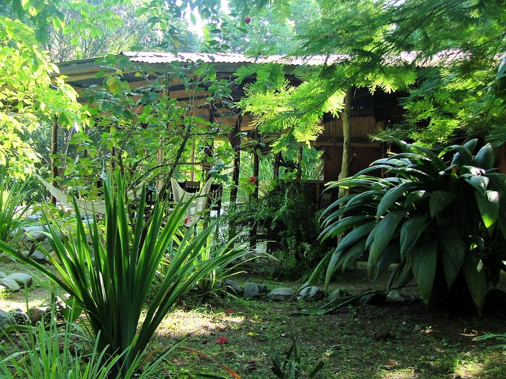 Los Mineros Guesthouse Dos Brazos Bagian luar foto