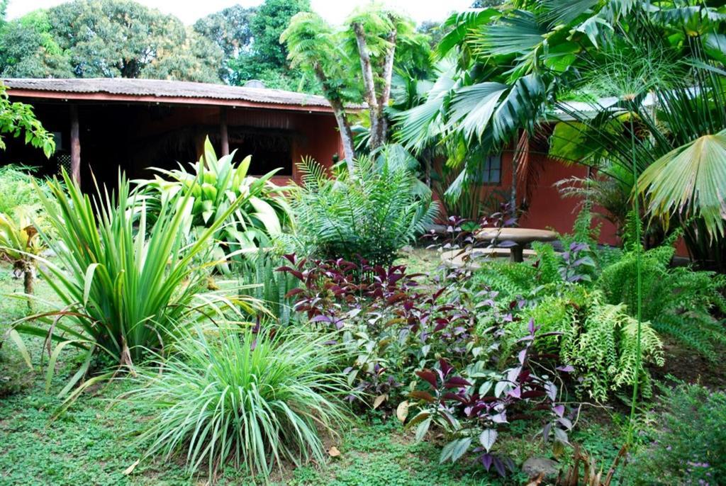 Los Mineros Guesthouse Dos Brazos Bagian luar foto