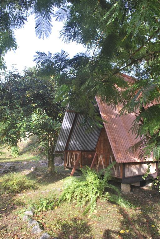 Los Mineros Guesthouse Dos Brazos Bagian luar foto