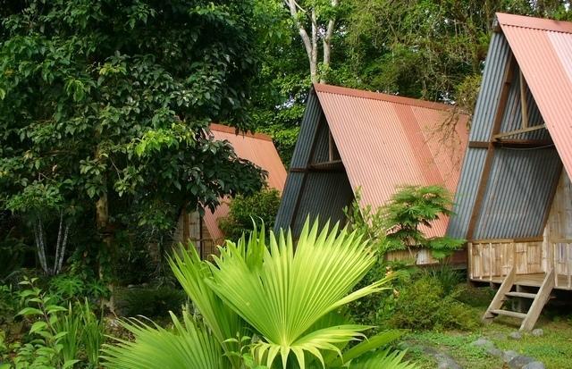 Los Mineros Guesthouse Dos Brazos Ruang foto