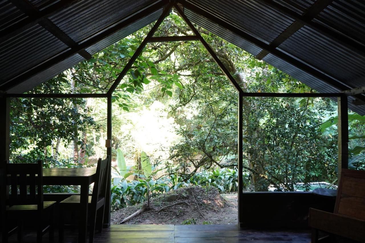 Los Mineros Guesthouse Dos Brazos Bagian luar foto